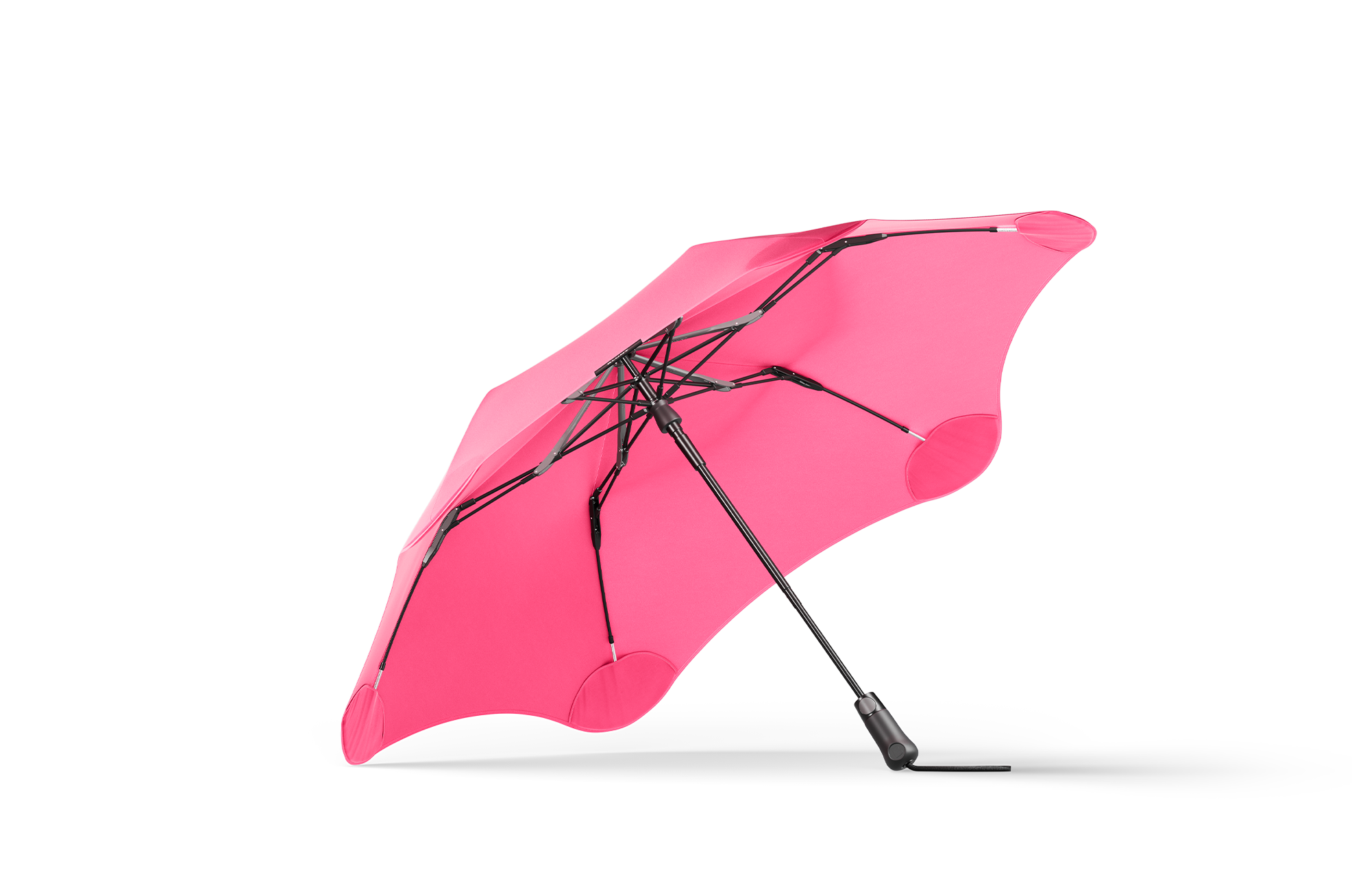 #color_hibicus pink