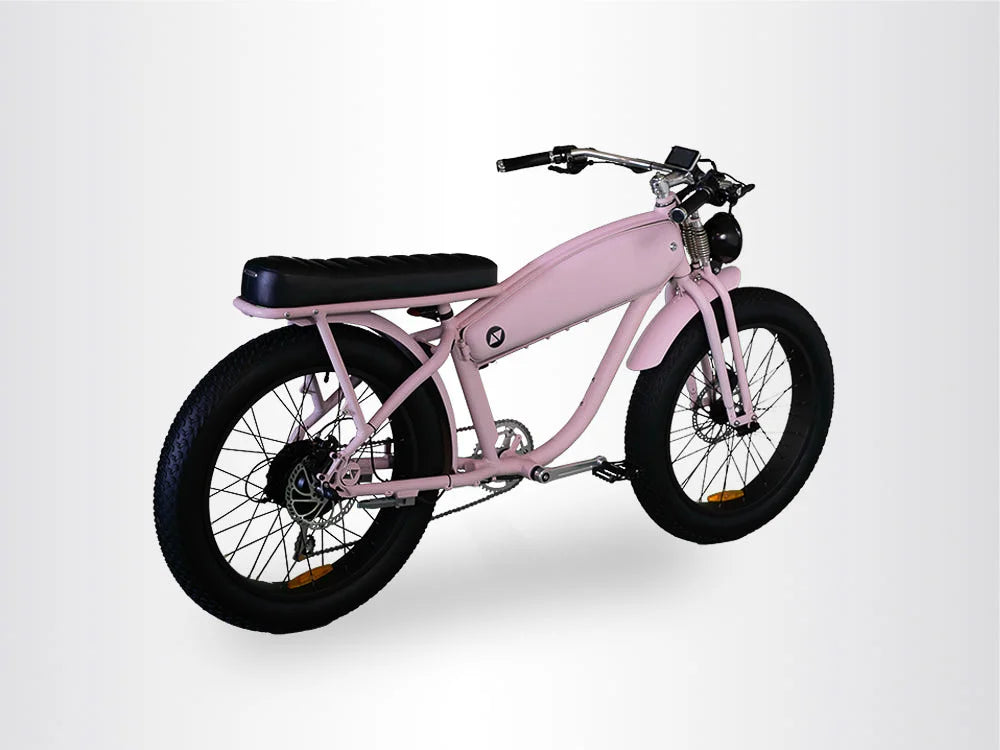 #bike color_musk pink (matte)