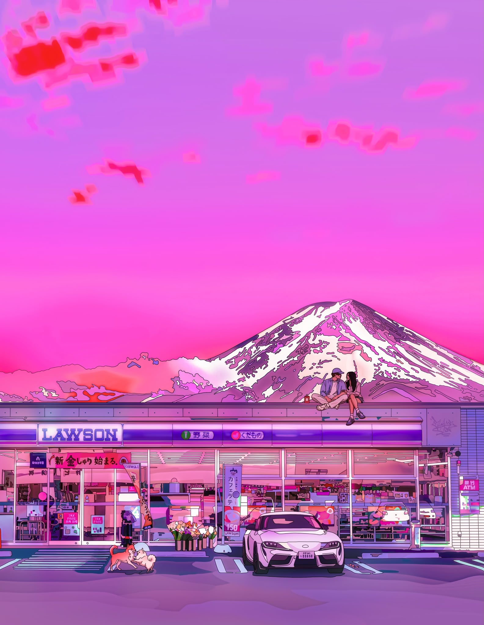 Fuji fine art print