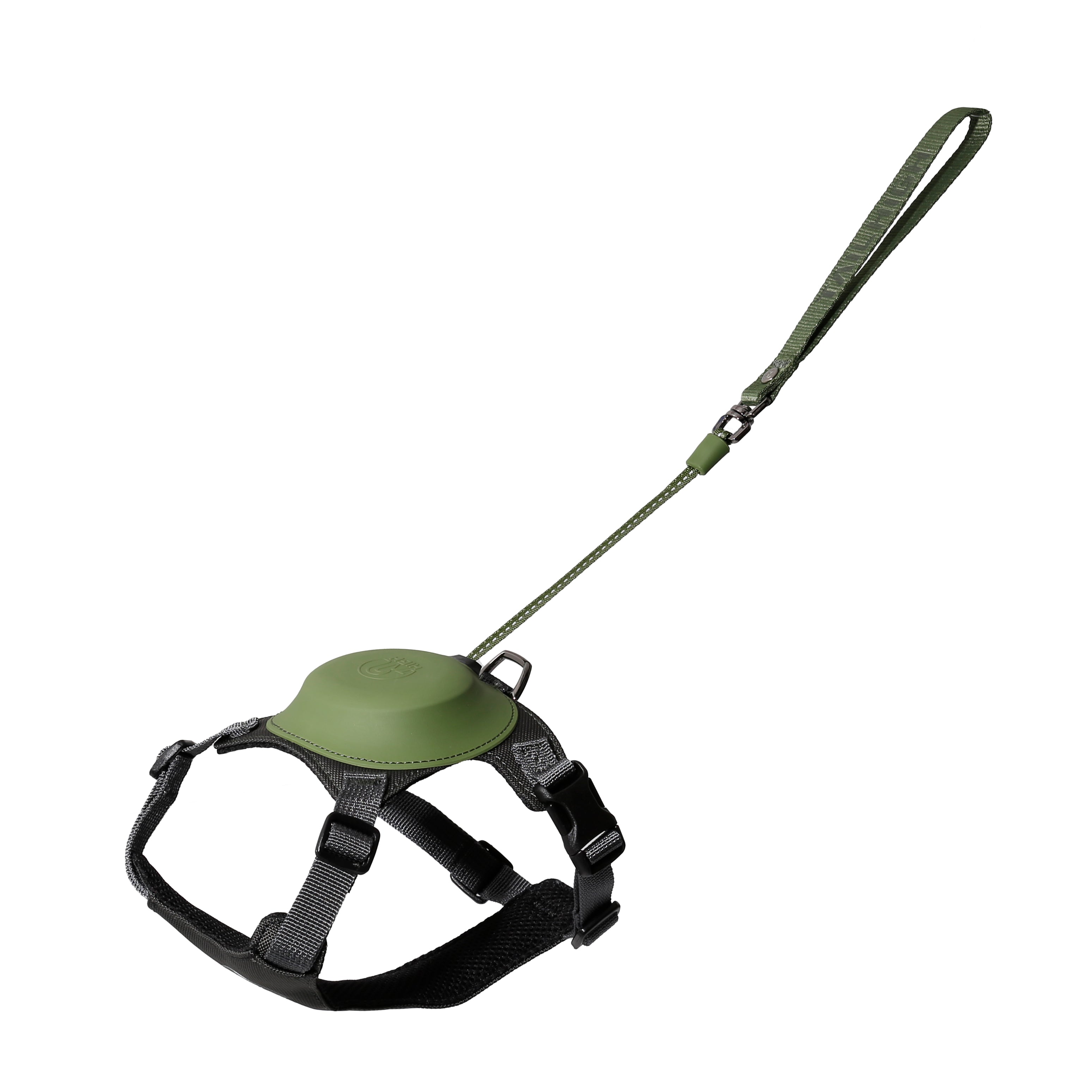 #color_green