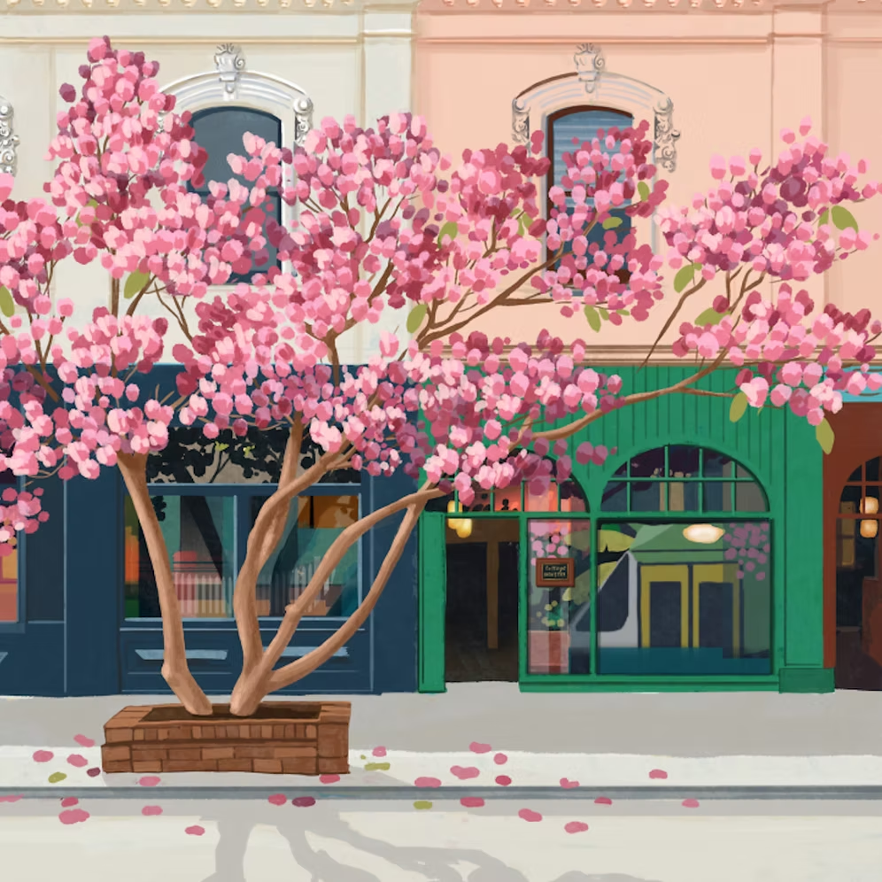 Magnolia on Gertrude