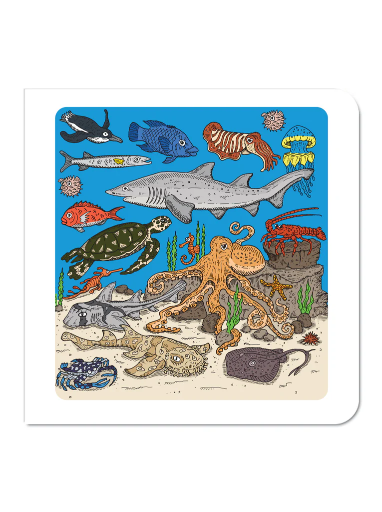 Greeting cards: Marine Life