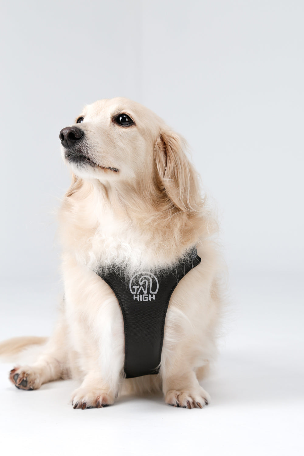 Hybrid harness 2.0